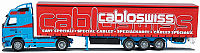 Leu transport, Dierikon: Modell von A W M - 55061