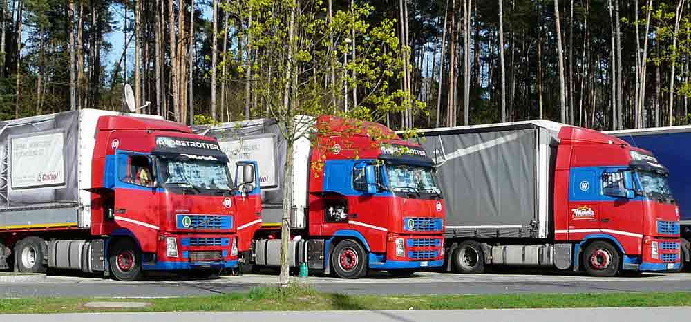 Moiola trasporti Volvo FH 3