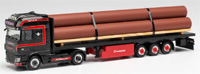 Nottelmann Transporte, Albersdorf: Modell von Herpa - 313773